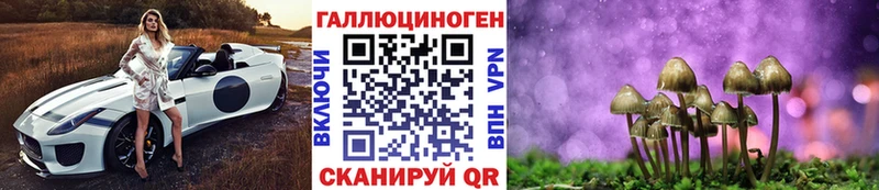 Псилоцибиновые грибы MAGIC MUSHROOMS  кракен как зайти  Лихославль  что такое наркотик 